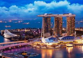 问鼎wd28娱乐2024最新版